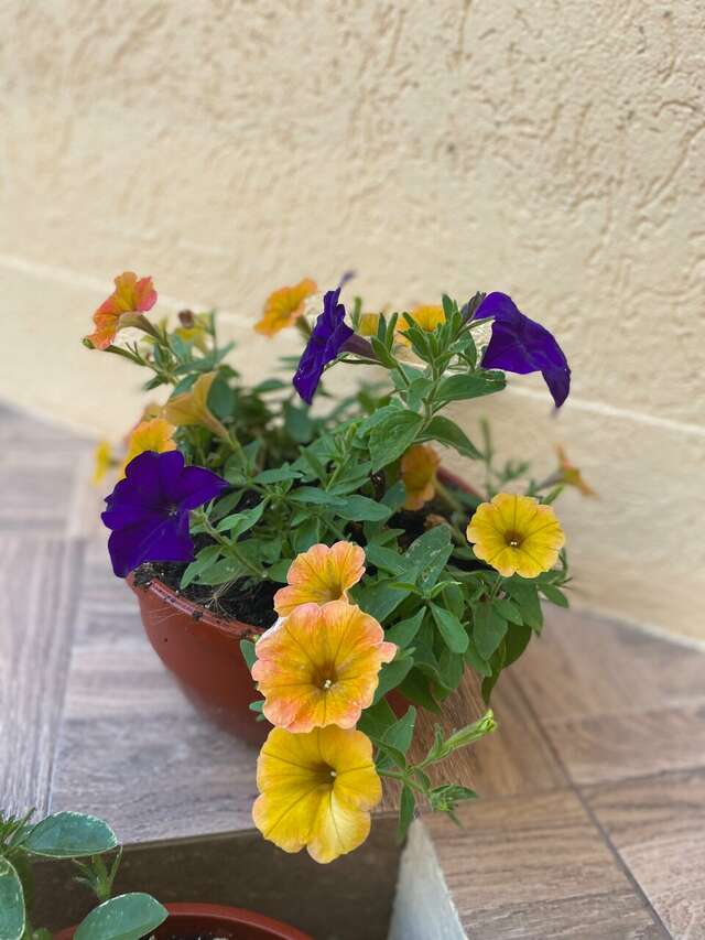 Гостиница Константинополь Витязево-57