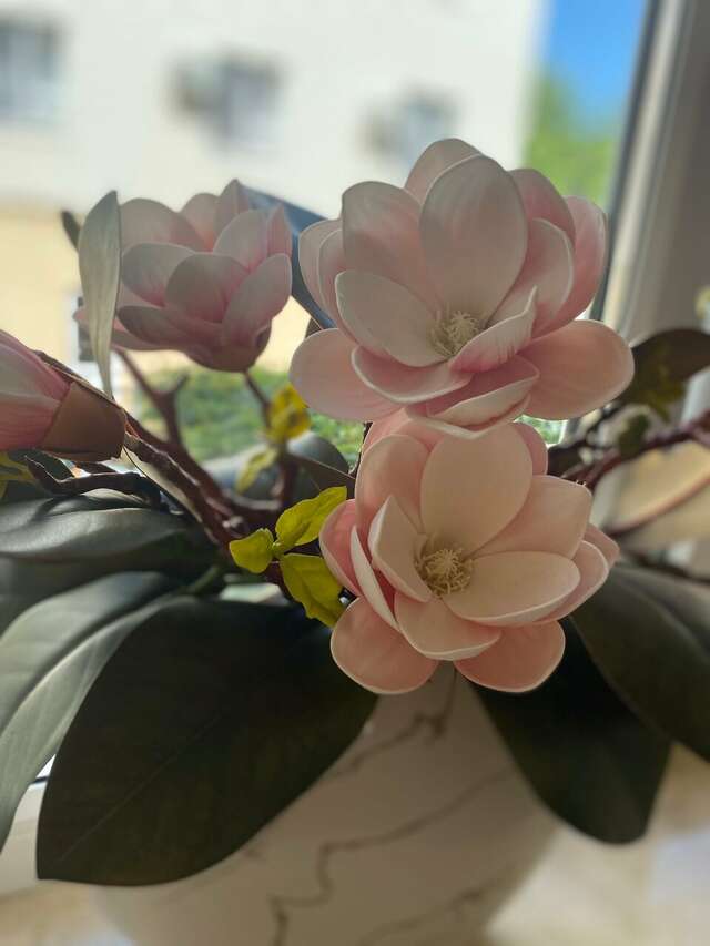 Гостиница Константинополь Витязево-38